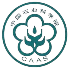 University 4 Logo
